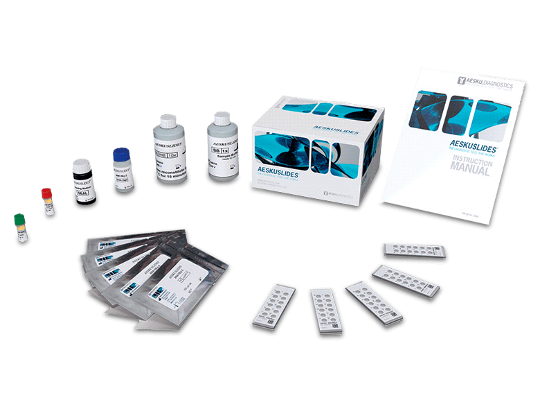 IFA Assays – AESKUSLIDES
