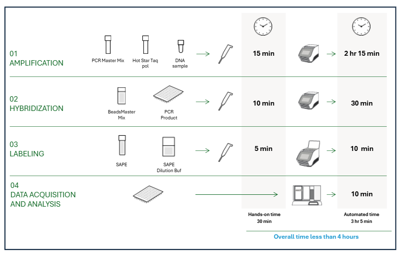 Infographic of BLOODchip ID analytical procedure