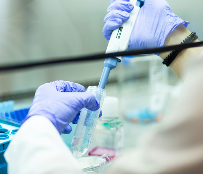 Laboratory cell culturing at the safety cabinet