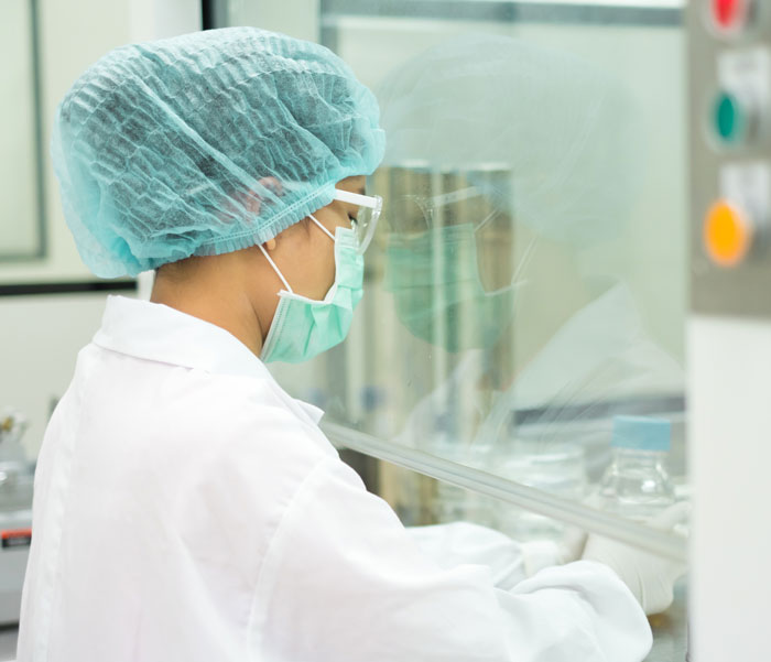 The laboratory worker is testing the sample under vertical laminar air