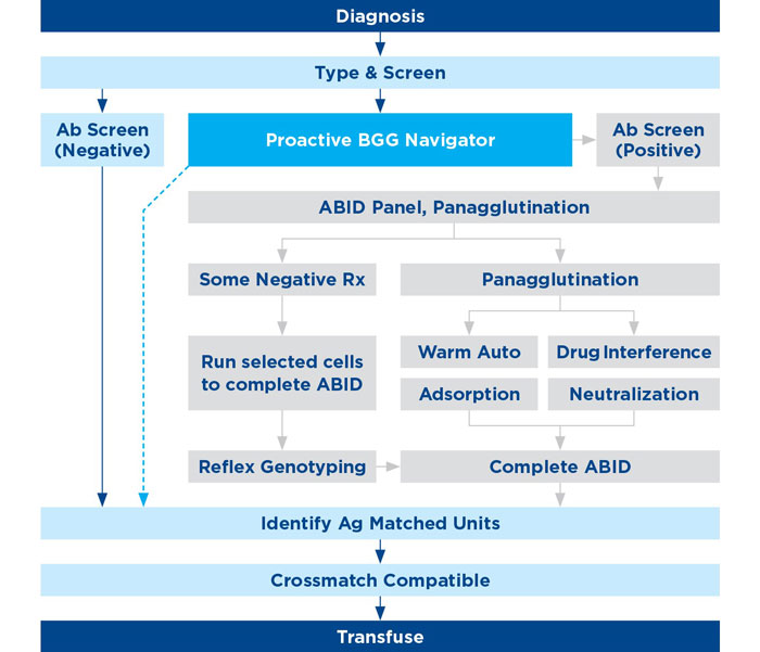 Infographic of proactive pretransfusion testing with BGG navigator