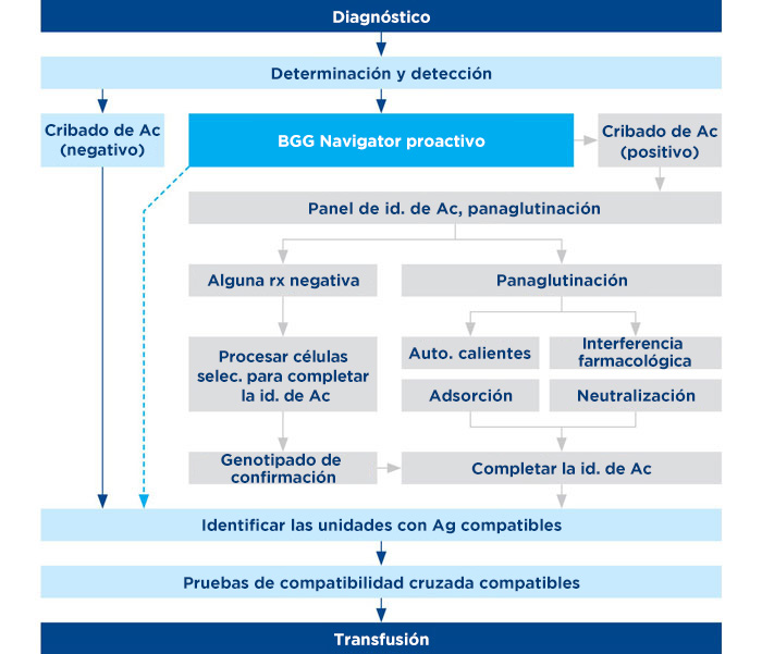 Infografía sobre los análisis proactivos previos a las transfusiones con BGG Navigator