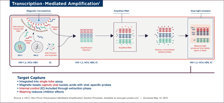 Transcription  - Mediated Amplification 1