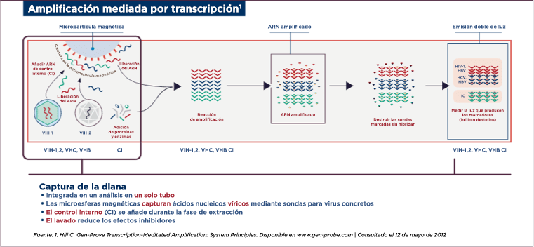 Amplificación mediada por transcripción 1