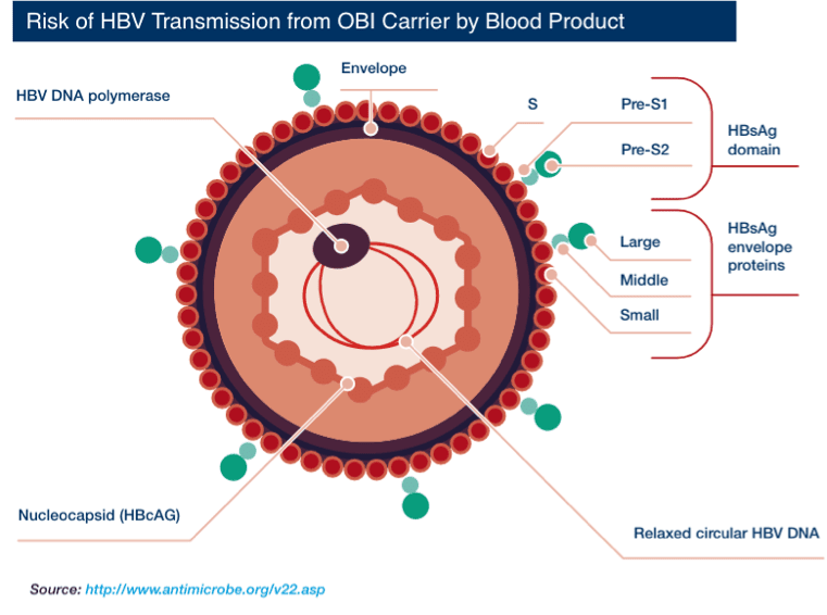 Risk os HBV Transmissión from OBI Carrier by Blood Product
