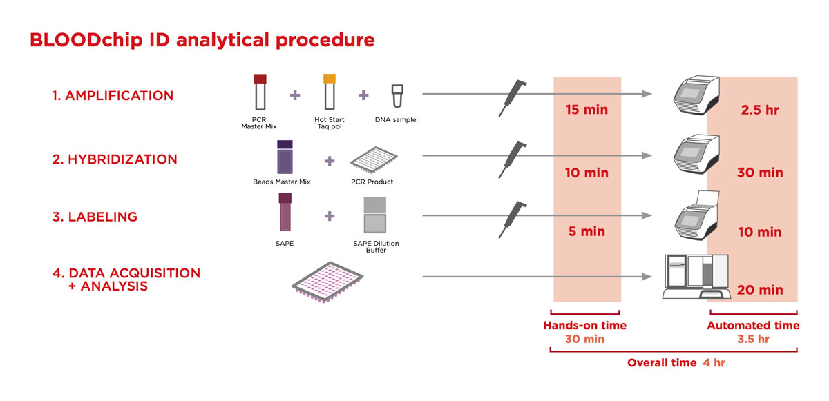 Infographic of BLOODchip ID analytical procedure