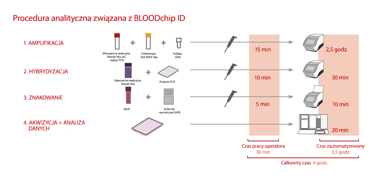 Infographic of BLOODchip ID analytical procedure