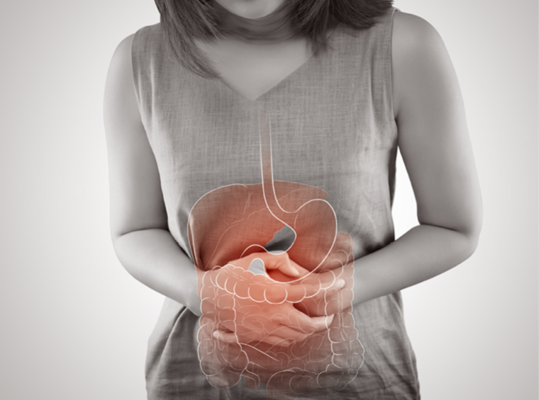Classifying Types of Gastrointestinal Diseases