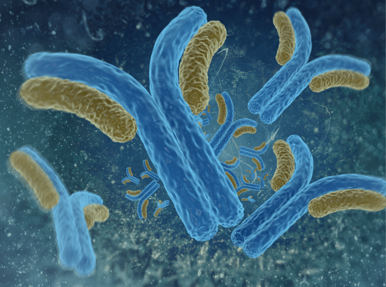 Techniques for Antibody Problem Solving and the Increased Safety of Blood Products Provision